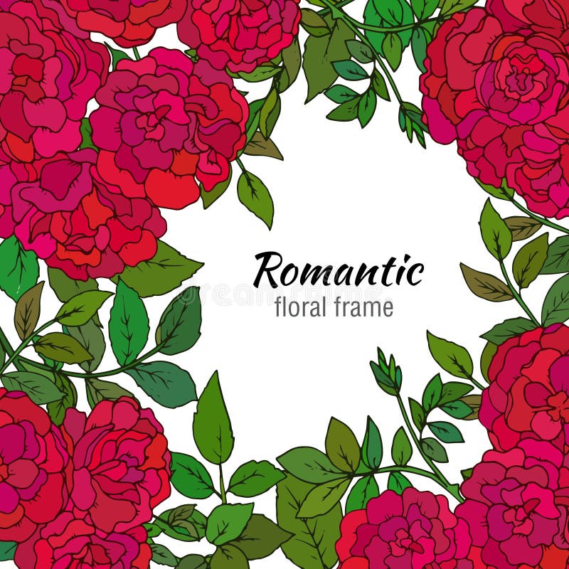 Elegant bloemenmalplaatje met kleurrijke hand getrokken struikrozen en vector illustratie Elegant bloemenmalplaatje met kleurrijke hand getrokken struikrozen en vector illustratie