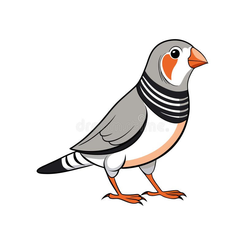Elegant Burchells Zebra Finch Bird Design stock illustrationer