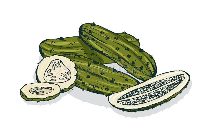 Elegant detaljerad teckning av hela och snittknipor eller inlagda gurkor Marinerad grönsak, vegetariskt mellanmål eller strikt ve royaltyfri illustrationer