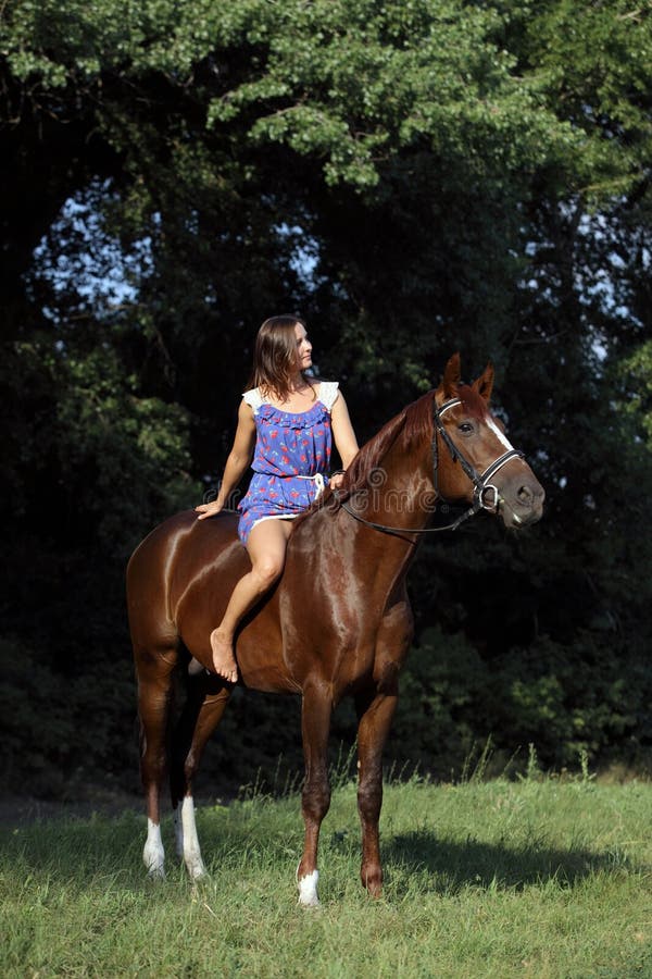 Elegant equestrian bareback riding horse