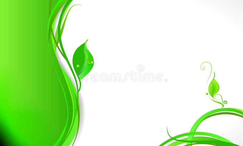 Elegant floral business background vector illustration