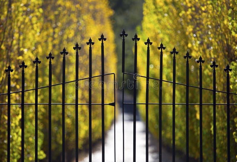 Elegant Gate royalty free stock photos