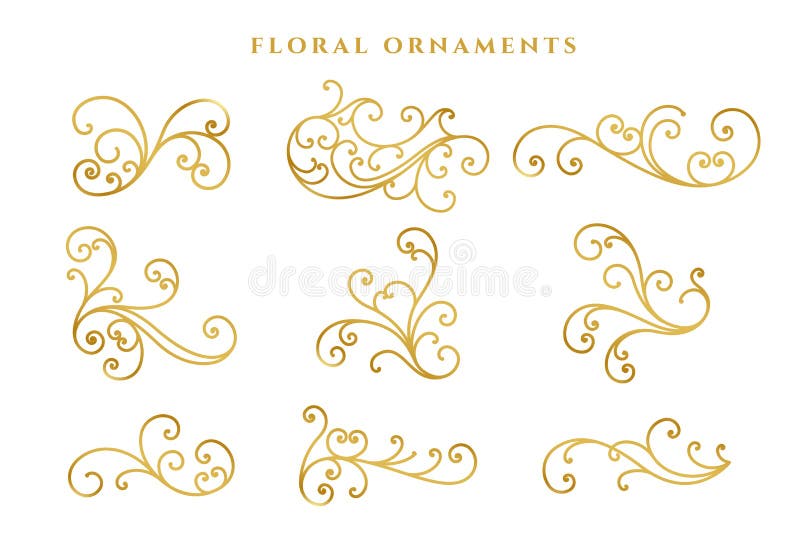 Elegant golden floral decoration big set design vector. Elegant golden floral decoration big set design vector