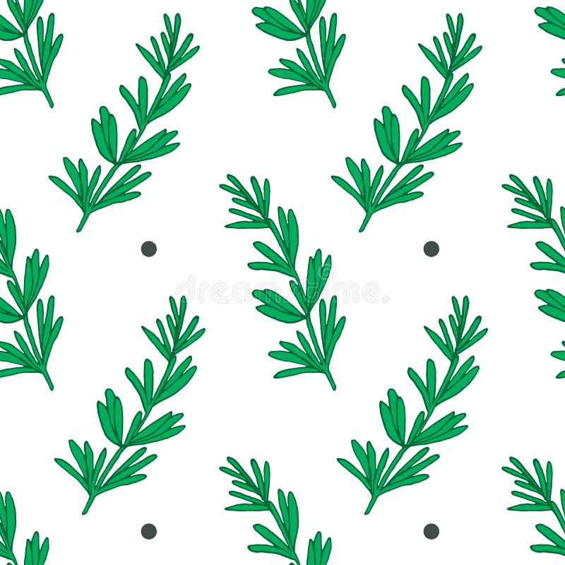 Elegant hand drawn rosemary herb seamless pattern royalty free illustration