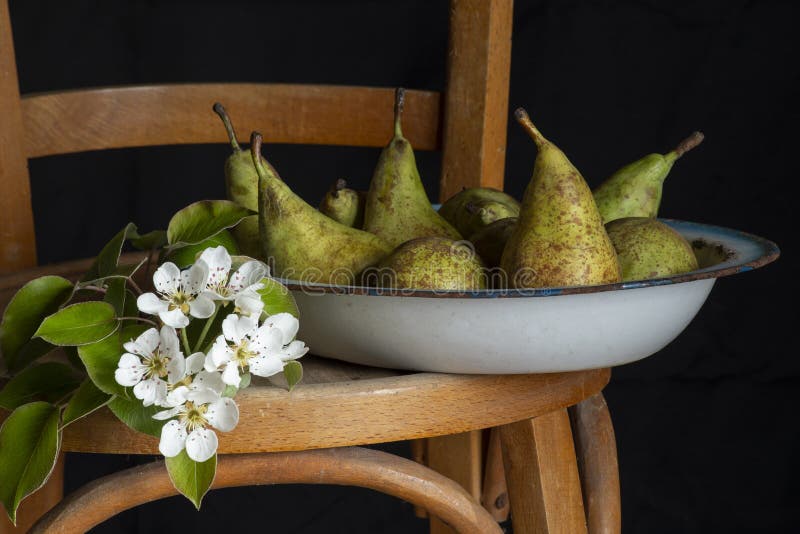 Elegant image of pears in a metal container placed on an old wooden chair, decorated with blossoming branches