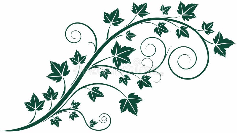Elegant Ivy Vine Swirl Vector, Botanical and Decorative Art, vector design Generative AI stock illustration