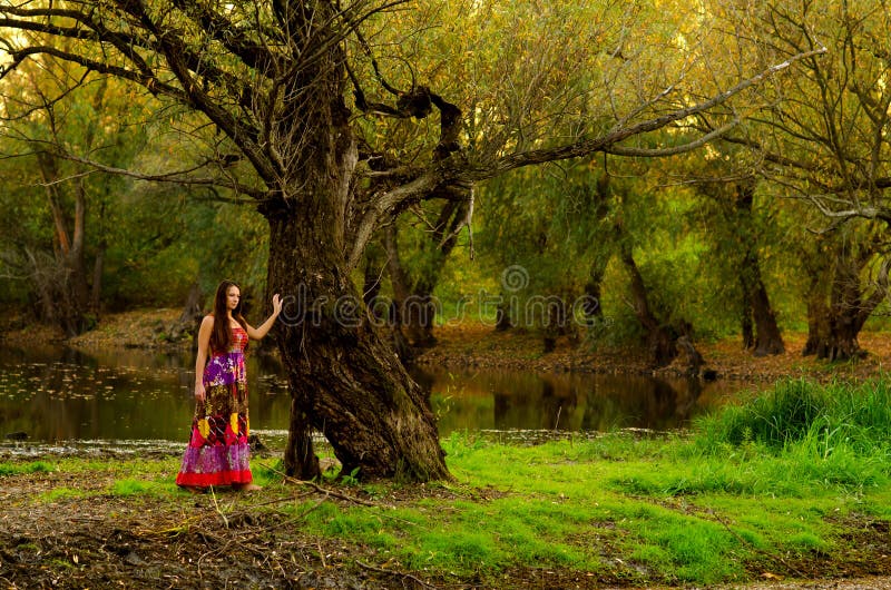 Elegant lady standing beside old tree