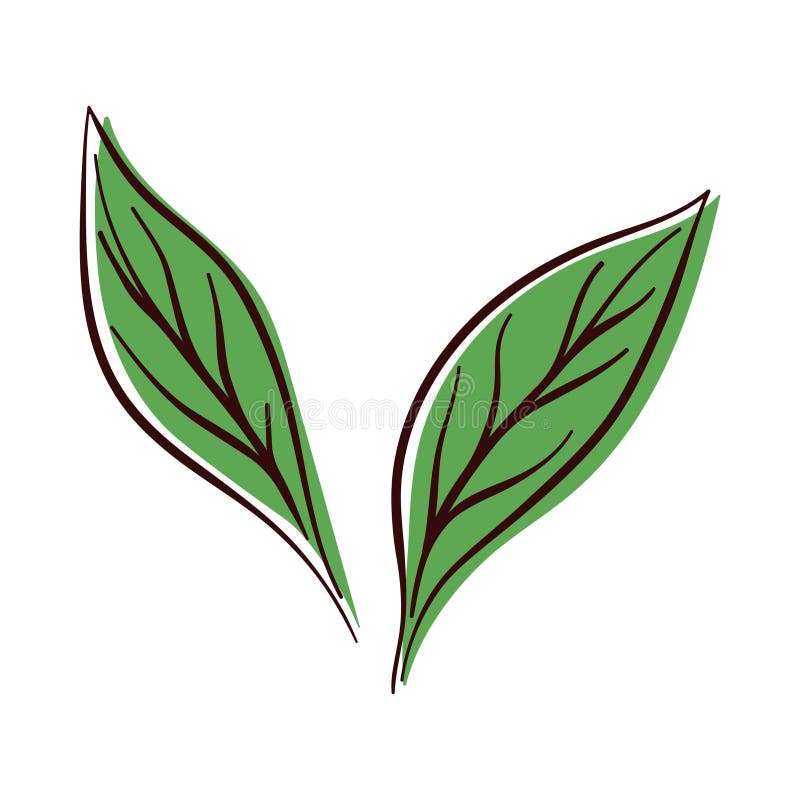 Elegant Leaf Design of Lemon in