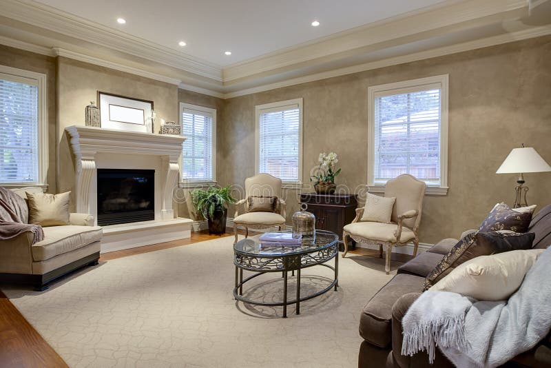 Elegant Living Room Lounge
