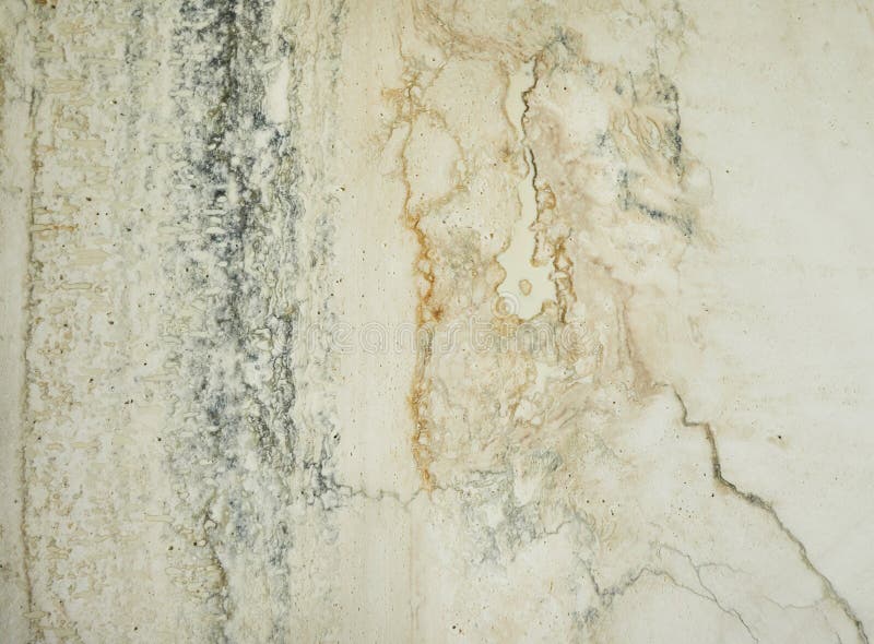 Image showcasing 15 Popular Wall Texture Types and Techniques in 2026