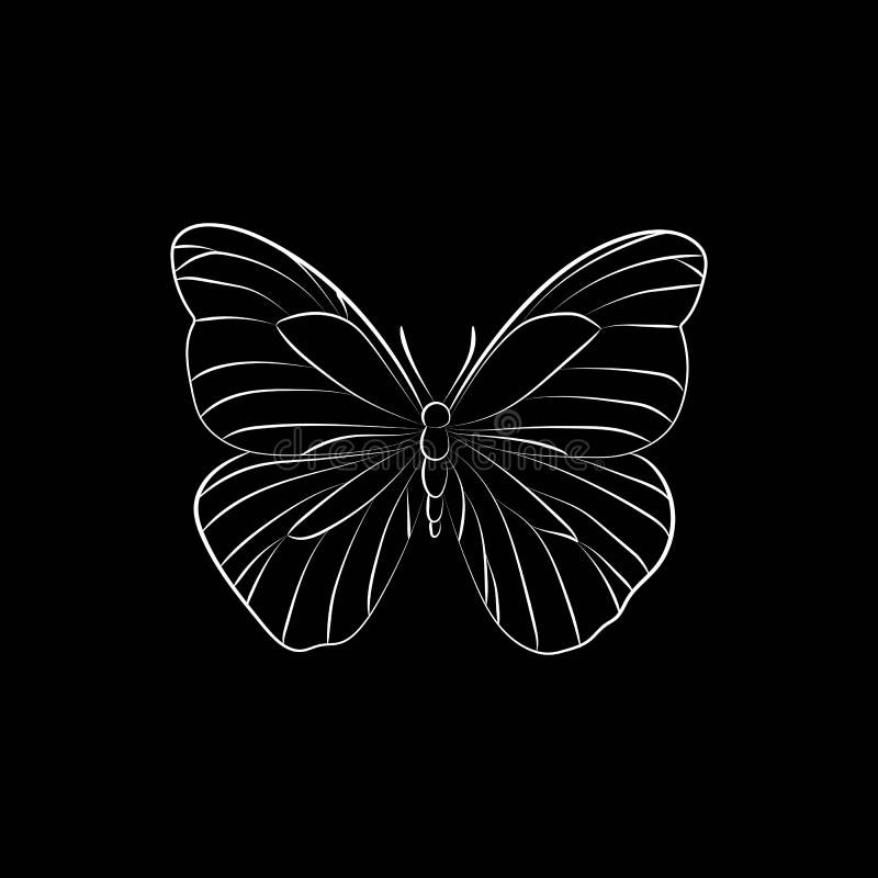 Elegant Outline Butterfly on Black Background. Stock Vector - Illustration  of garden, decoration: 224691057