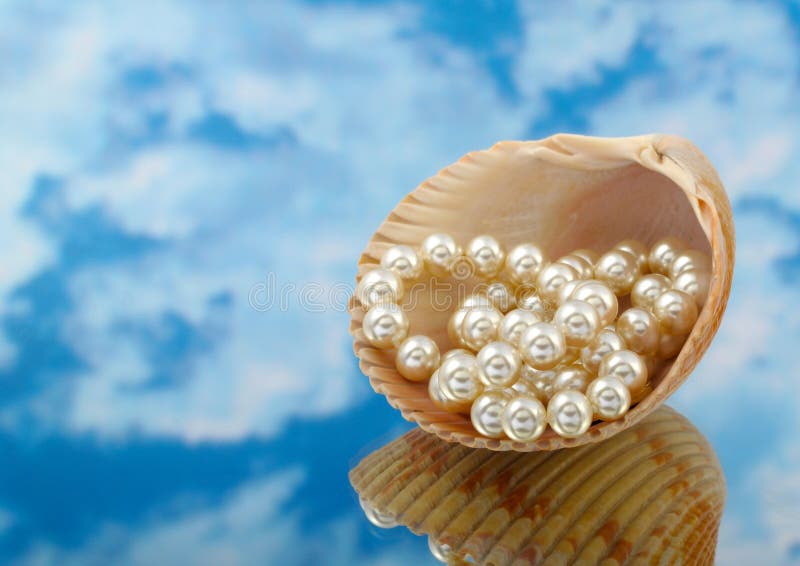 Elegant pearls over in shell with sky