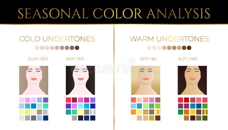 Seasonal color analysis chart for image Royalty Free Vector