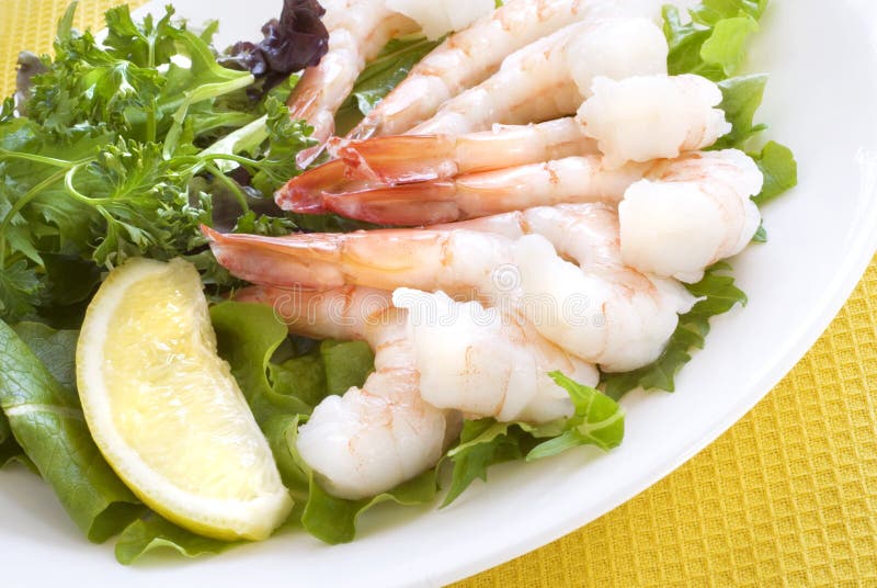 Elegant Shrimp Salad on Plate