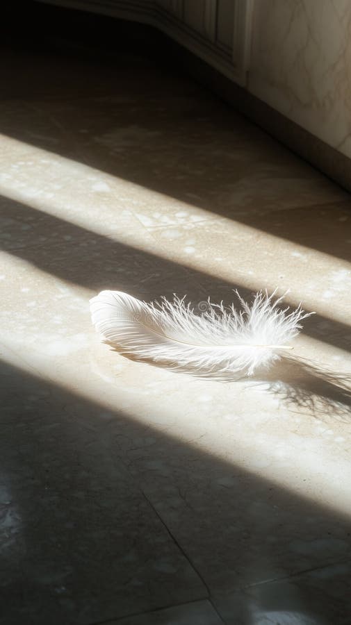 Elegant Simplicity: A Feather on Marble royalty free stock image