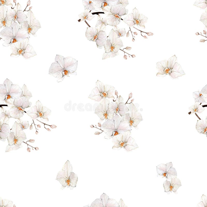 Elegant Seamless Floral Background, Shades of Gray Stock Vector ...