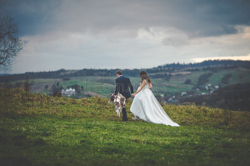 Elegant stylish happy brunette bride and gorgeous groom at the s royalty free stock photos Elegant stylish happy brunette bride and gorgeous groom at the s royalty free stock photos