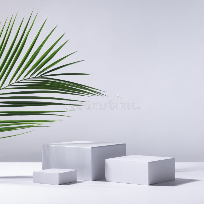 Elegant summer abstract white podiums in sunlight with shadow, green palm leaf on white background for product display, square. Elegant summer abstract white