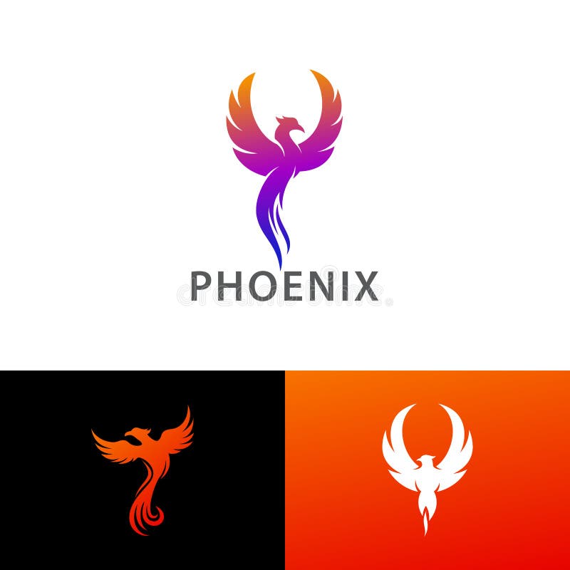 Elegant Vector Set Illustration of Phoenix Flying Design Inspiration vector illustration