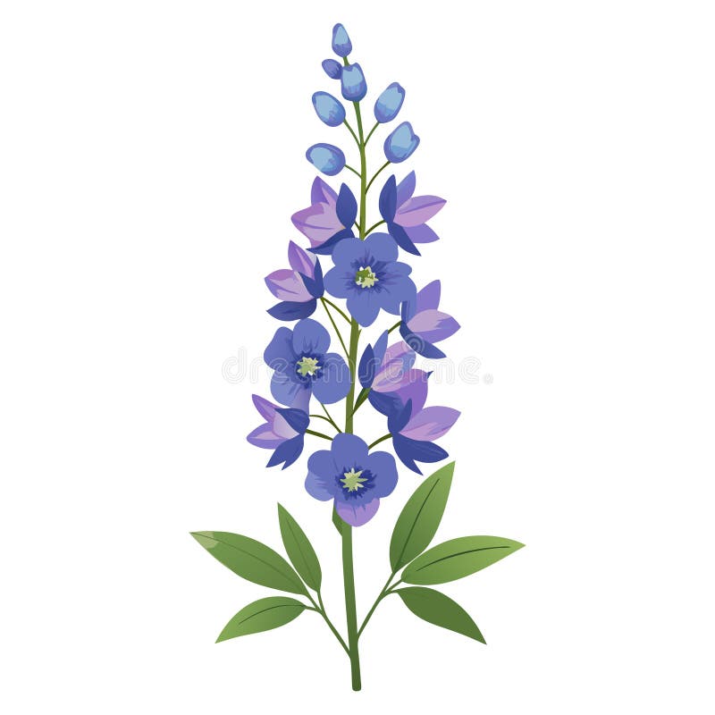 Elegant Watercolor Delphinium Flower Illustration on White Background for Spring Designation. Detaljerad vattenfärgillustration av en Delphinium-blomma som är perfekt för källans utformning och botaniska projekt på stamplattformar.