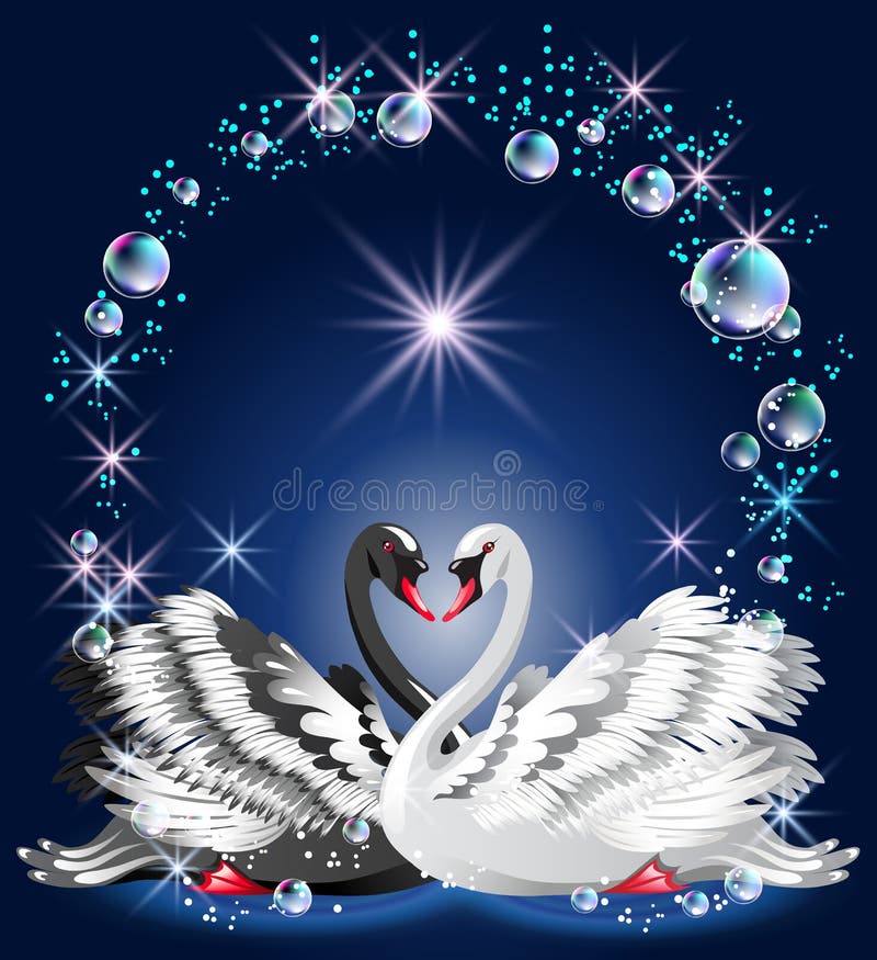 Elegant white and black swan stock illustration