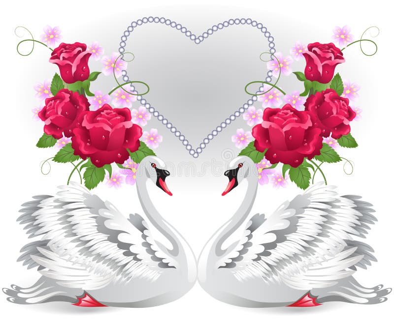 Elegant white swans royalty free illustration