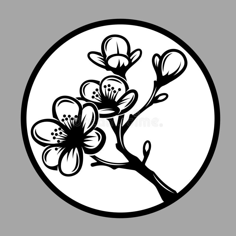 Elegante botanische Schwarz-Weiß-Illustration mit Sakurazweig lizenzfreie abbildung