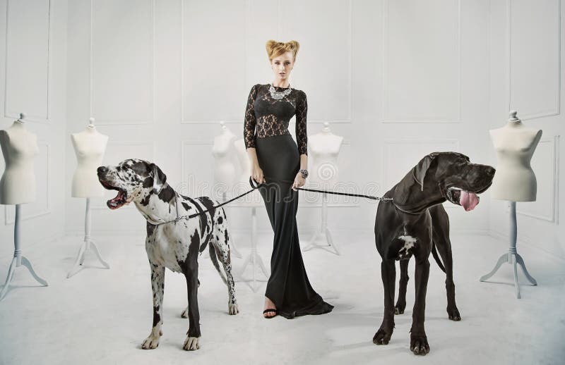 Elegante, ernste Dame mit zwei riesigen Hunden stockfoto Elegante, ernste Dame mit zwei riesigen Hunden stockfoto