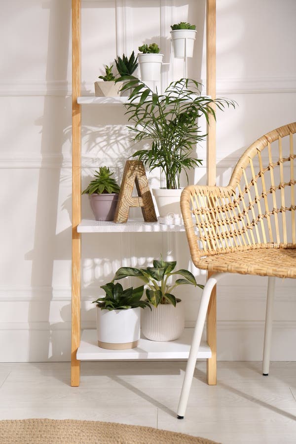 Elegante Escalera Decorativa Con Plantas De Casa Y Silla En Sala De Luz  Foto de archivo - Imagen de decorativo, lujo: 211956322