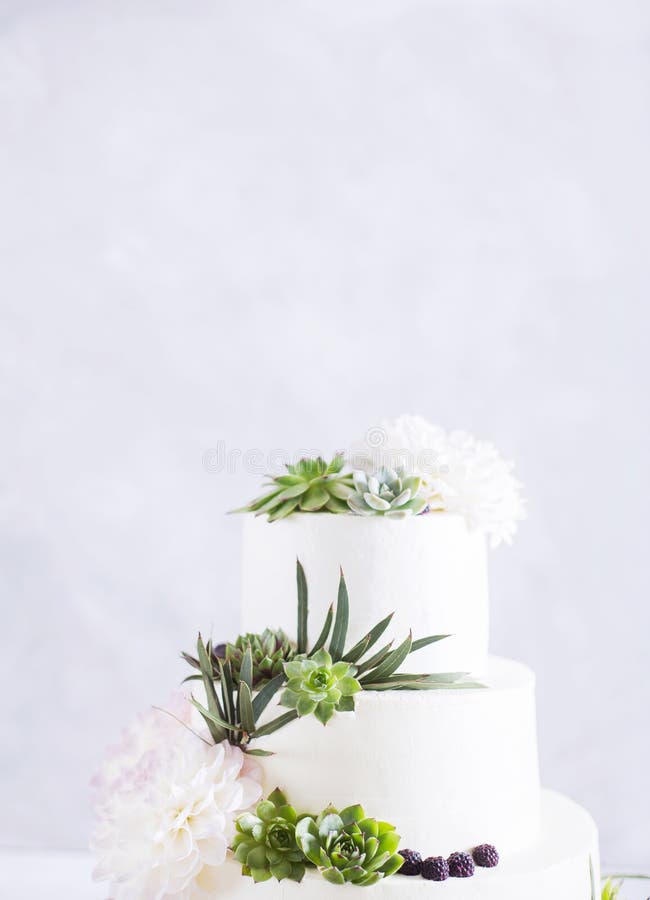 Elegant wedding cake with flowers and succulents. Wedding photo concept. Elegant wedding cake with flowers and succulents. Wedding photo concept
