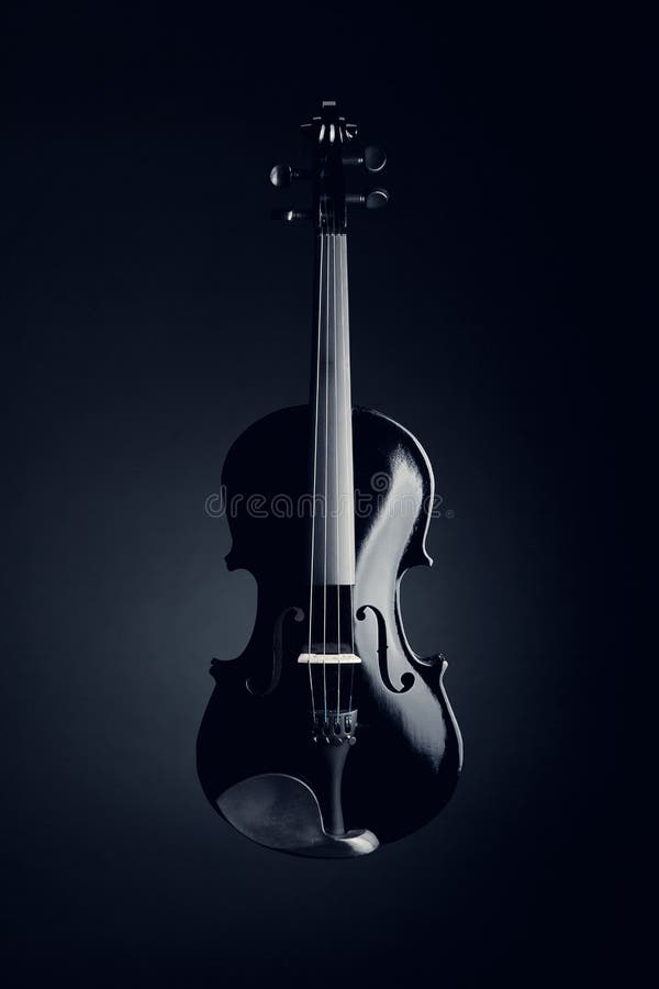 Elegante schwarze Violine stockbilder Elegante schwarze Violine stockbilder
