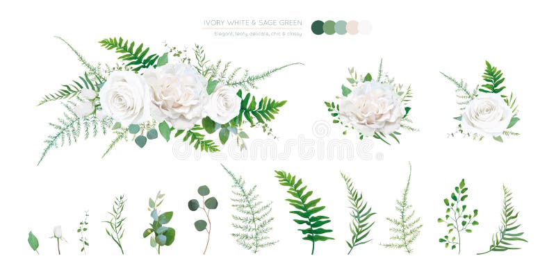 Elegante vectorbloembouquet : ivoor - witte rozenrozenroze rozenbloemen zilverkleurige eucalyptus vertakt groenblad ferns