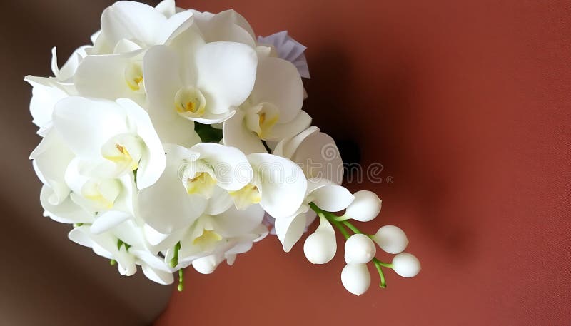 Elegante weiße Orchideen schließen zartes Blütenblüten Stock Foto Generative AI stock abbildung