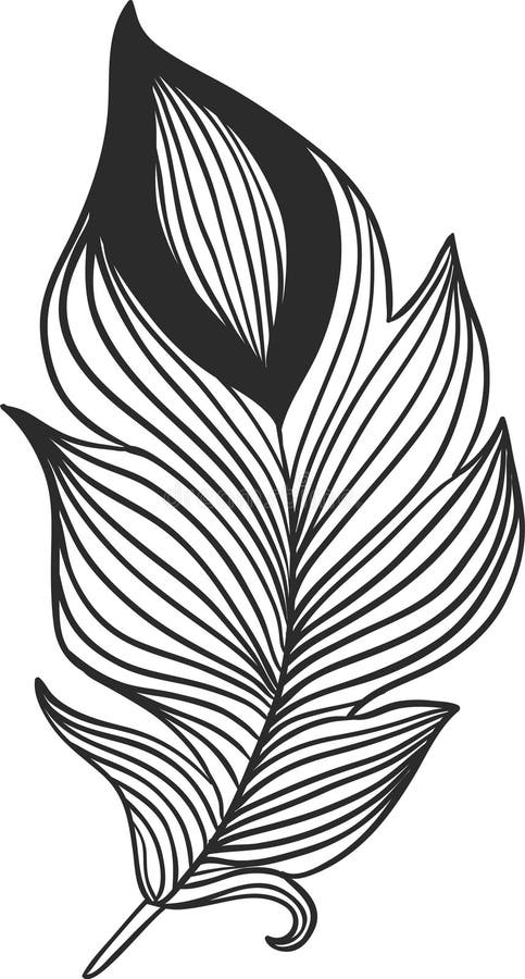 Elegantes Schwarz-Weiß-Bild einer Feder mit komplizierten Parallellinien, die ein atemberaubendes Design bilden, perfekt für Mode stock abbildung
