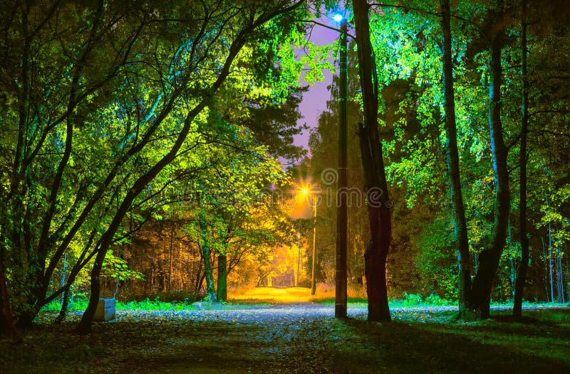 Elektrische verlichting in het park bij nacht met lampen met verschillende kleurentemperaturen royalty-vrije stock foto's Elektrische verlichting in het park bij nacht met lampen met verschillende kleurentemperaturen royalty-vrije stock foto's
