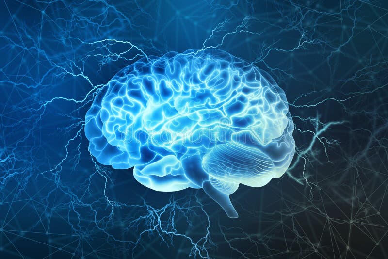 Elektrisk aktivitet av den mänskliga hjärnan