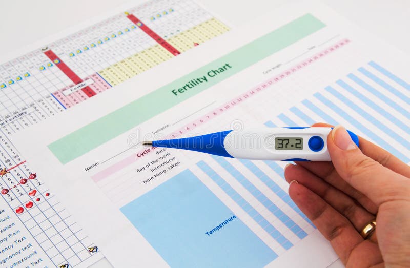 Electronic thermometer in woman hand. Fertility concept. Electronic thermometer in woman hand. Fertility concept