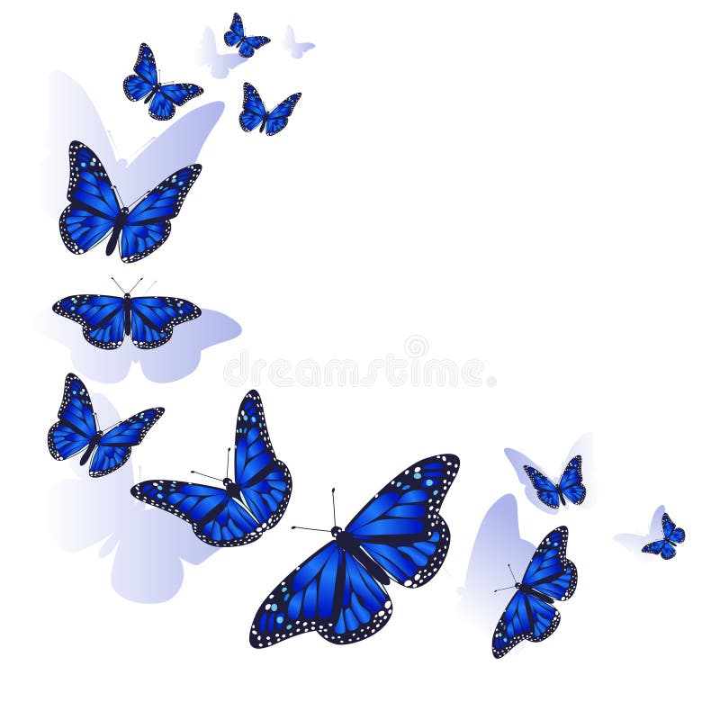 Element of Design. Frame Made of Butterflies. Blue Butterflies on ...