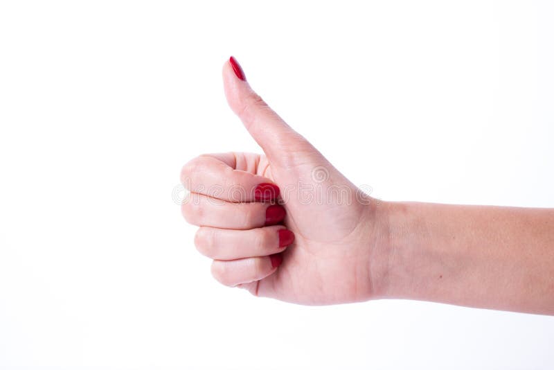 Elementi della tenuta della mano della donna fotografie stock libere da diritti Elementi della tenuta della mano della donna fotografie stock libere da diritti