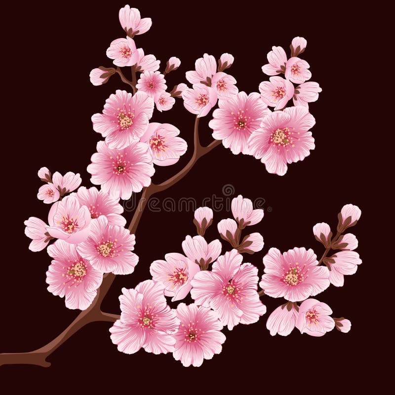 Elemento de la rama de la flor de Sakura del vector Elemento elegante para su diseño Cherry Blossom ilustración del vector Elemento de la rama de la flor de Sakura del vector Elemento elegante para su diseño Cherry Blossom ilustración del vector