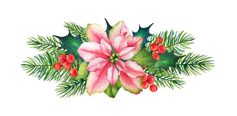 Elemento decorativo di Natale con il fiore della stella di Natale dell'acquerello, l'agrifoglio con le bacche ed il pino illustrazione di stock Elemento decorativo di Natale con il fiore della stella di Natale dell'acquerello, l'agrifoglio con le bacche ed il pino illustrazione di stock