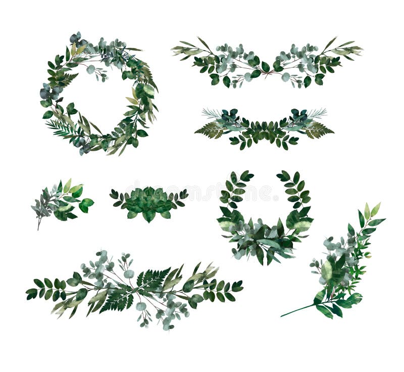 Elemento decorativo moderno da aquarela Grinalda verde redonda da folha do eucalipto, ramos das hortaliças, festão, beira, quadro