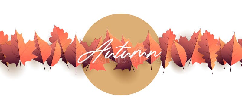 Elemento grafico stagionale d'autunno con foglie autunnali illustrazione che forma una linea retta di foglie su sfondo bianco con. Elemento grafico stagionale autunnale con foglie autunnali illustrazione che forma una linea retta di foglie su sfondo bianco con cerchio dietro per copia