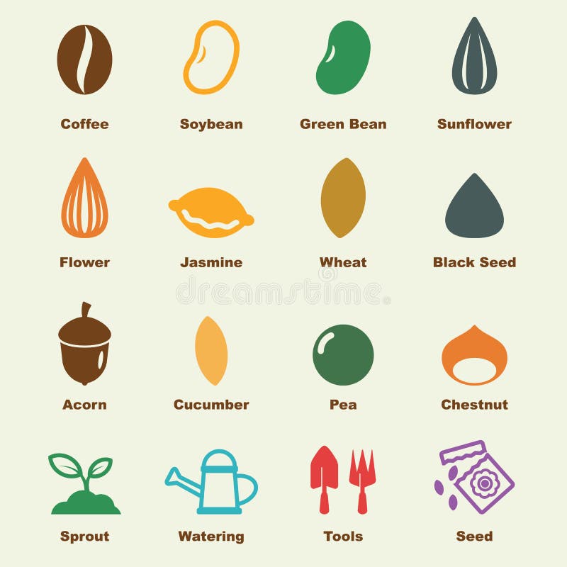 Seed elements, vector infographic icons. Seed elements, vector infographic icons