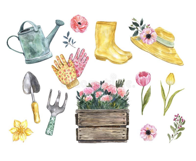 Elementos de jardinagem de aquarelas traçados à mão. botas de borracha de jardim que flores caixas de madeira isoladas