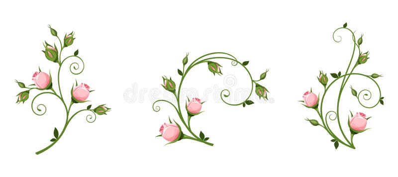 Elementos decorativos del vector con los capullos de rosa rosados