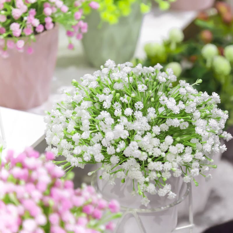 Elementos E Detalhes De Jardim E Decoração E Interior Da Casa Flores  Pequenas Das Plantas Artificiais Da Cor Branca E Cor-de-rosa Imagem de  Stock - Imagem de casa, interior: 141655259