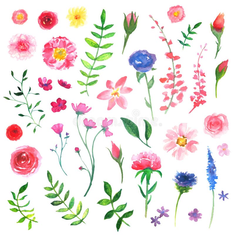 Elementos florais do projeto da aquarela ilustração royalty free Elementos florais do projeto da aquarela ilustração royalty free