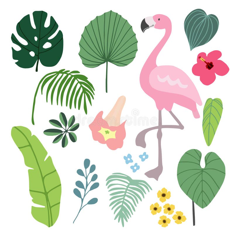 Elementos gráficos tropicales del verano con el pájaro del flamenco Ejemplos de la selva, palma y hojas e hibisco florales del mo libre illustration Elementos gráficos tropicales del verano con el pájaro del flamenco Ejemplos de la selva, palma y hojas e hibisco florales del mo libre illustration