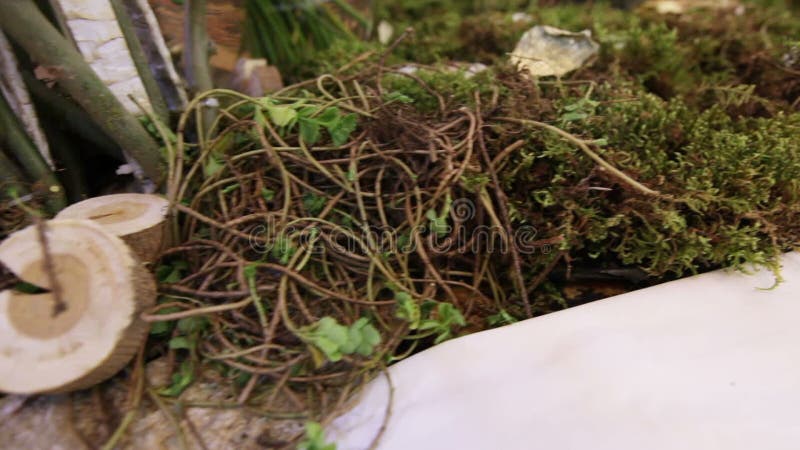 Elements decor Wedding ceremony stock video footage